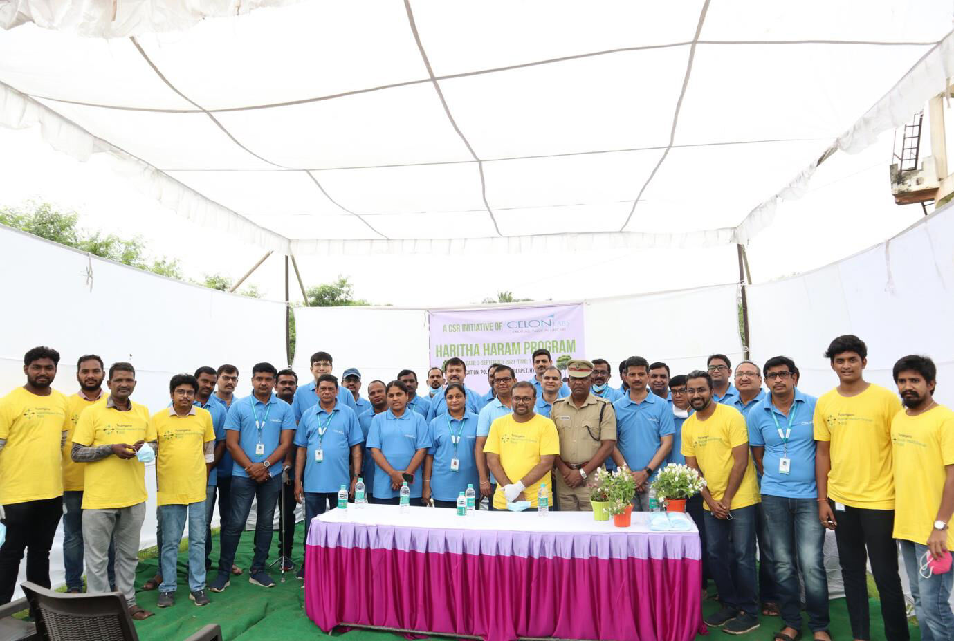 Community members at a plantation drive